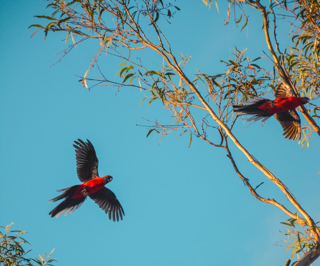 Aged care jobs at Kewarra Aged Care, Cairns